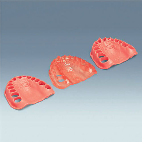 Gingival model - AN-4 WOK - frasaco - for teaching