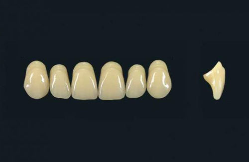 Polymer acrylic dental prosthesis - TRIBOS 501  T66-UJ-C2 - GEBDI Dentalproducts GmbH   - anterior teeth