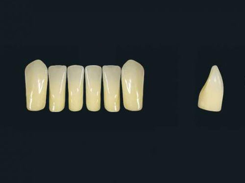 Polymer acrylic dental prosthesis - TRIBOS 501 LV1-LJ-C2 - GEBDI Dentalproducts GmbH   - anterior teeth