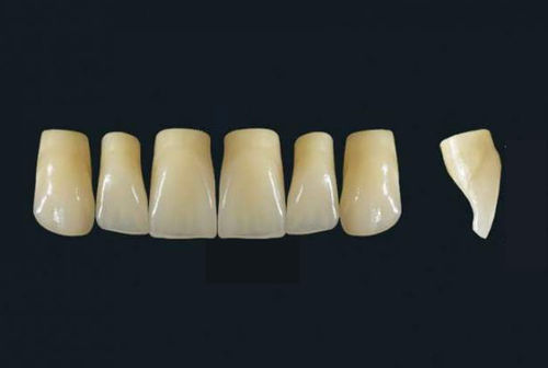 Polymer acrylic dental prosthesis - TRIBOS 501 VR43-UJ-C3 - GEBDI Dentalproducts GmbH   - anterior teeth