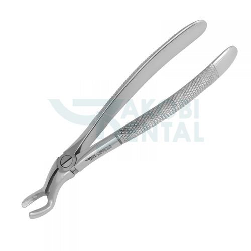 Upper molar dental extraction forceps - FX67AE - Jakobi Dental GmbH - English pattern