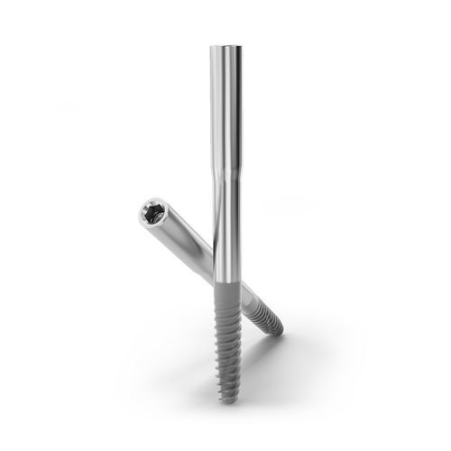 Cylindrical dental implant - JDZygoma - JDENTALCARE SRL   - titanium / hexagonal / internal