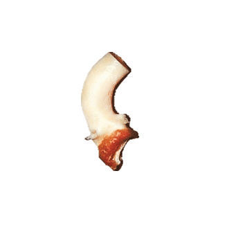 Ascending aorta vascular bioprosthesis - CardioGraft® - Lifenet Health   - allograft