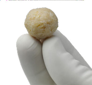 Allograft bone substitute - ViviGen®  - Lifenet Health   - for orthopedic surgery / malleable