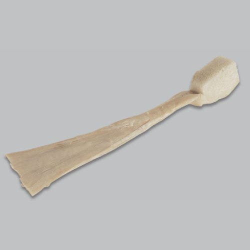 Calcaneal tendon ligament prosthesis - FlexiGraft® - Lifenet Health   - anterior cruciate ligament / posterior cruciate ligament / allograft