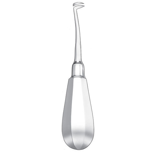 Curved dental root elevator - 526/1 - Carl Martin GmbH   - Cryer