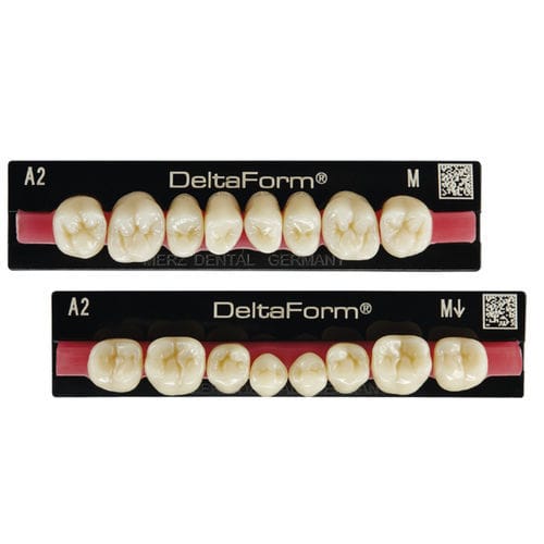 PMMA dental prosthesis - Delta Form® - Merz Dental GmbH   - anterior teeth / posterior teeth