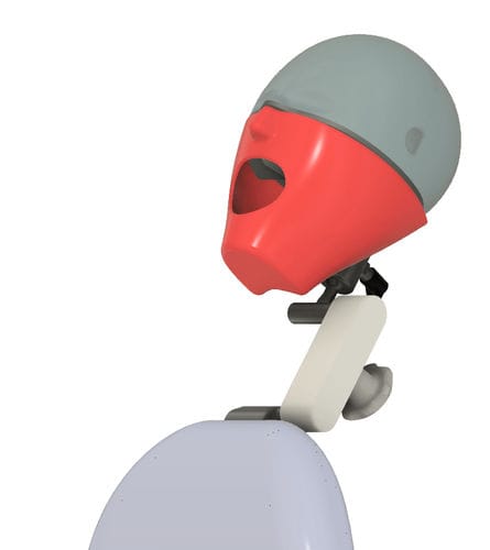Dental training manikin - NA236 - Navadha Enterprises   - head
