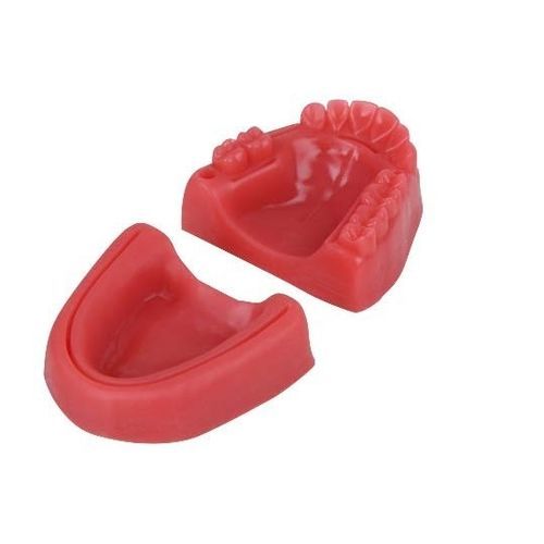 Oral anatomical model - SP087 - Navadha Enterprises   - dental care / training / suture