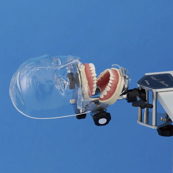 Dental care training manikin - SIMPLE MANIKIN III - Nissin Dental Products Inc.   - head