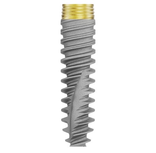 Conical dental implant - 302284 - Nobel Biocare Services AG   - titanium / conical / internal