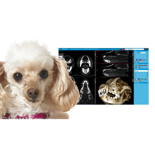 Viewer software - Romexis® Viewer - Planmeca - medical / clinical / PET