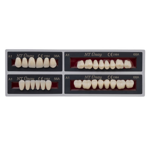 Acrylic dental prosthesis NT Unay TOROS DENTAL anterior teeth