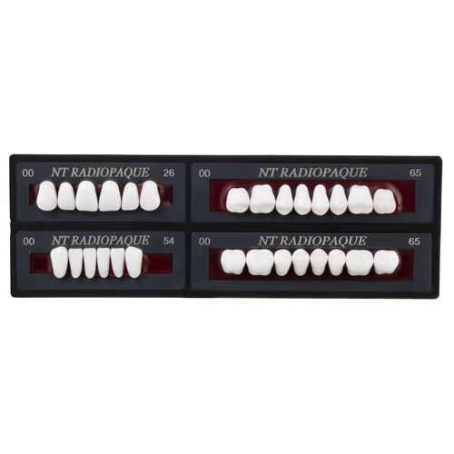 Dental prosthesis - Nt Radiopaque - TOROS DENTAL