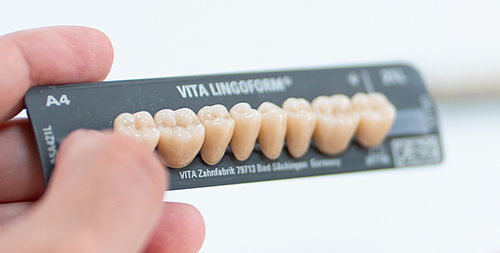 Composite dental prosthesis - VITAPAN® LINGOFORM - VITA Zahnfabrik H. Rauter GmbH & Co.KG   - posterior teeth