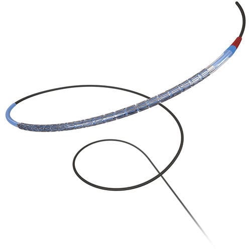 Coronary stent - Promus ELITE&trade; - Boston Scientific - platinium-chromium / polymer / drug eluting