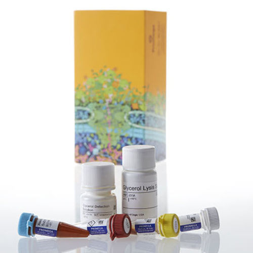 Serum reagent kit - Triglyceride-Glo™ - Promega France - tissue / phosphate / lipase