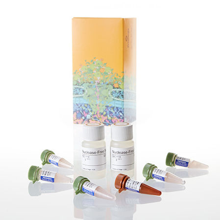 Enzyme reagent - GoTaq® - Promega France - dye / for research / for PCR