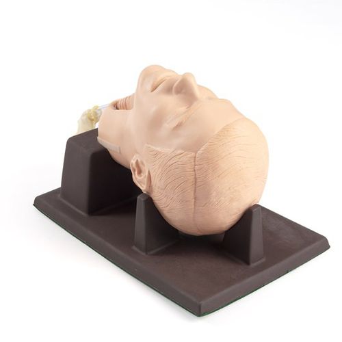 Training simulator - 261-01001 - Laerdal Medical - cricothyrotomy / surgical / male