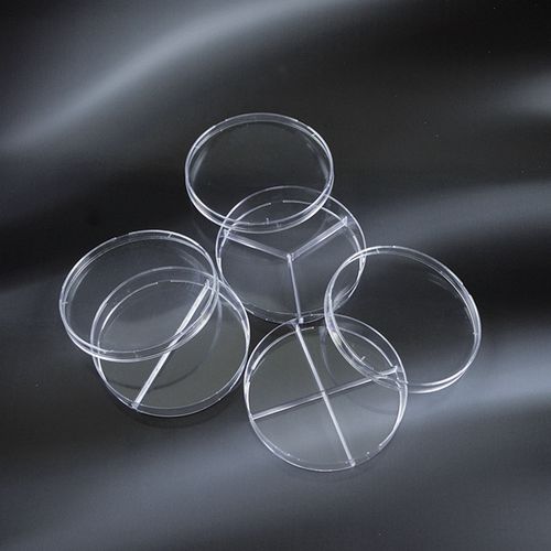 gridded petri dish gridded petri dish