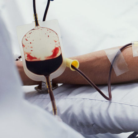 CPD blood bag - Terumo - Terumo BCT - CPDA-1