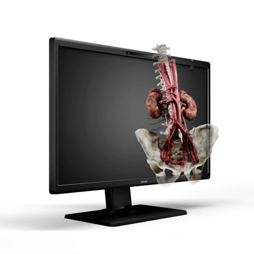 Medical display - Eonis 3D - Barco - surgical / 8" / LED
