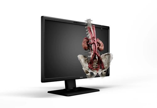 Operating room display - Eonis 3D - Barco - medical imaging / medical / for teaching