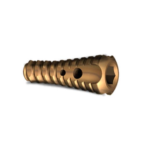 Subtalar joint implant - 3.173 series - ChM