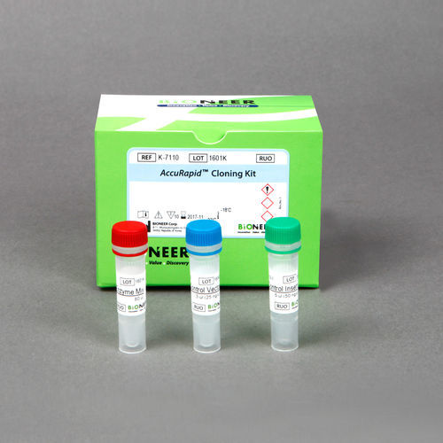 Enzyme reagent kit - AccuRapid™  - Bioneer Corporation - for research / for PCR
