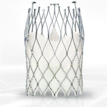 Aortic valve bioprosthesis - ALLEGRA™ TAVI - Biosensors International - bovine tissue / sutureless