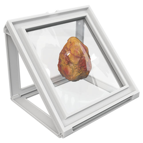 Tissue container - Wedge® - Faxitron Bioptics