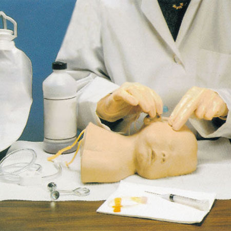Venipuncture simulator - GD/HS6E - Shanghai Honglian Medical Instrument - infant / head