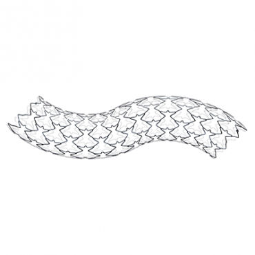 Iliac artery stent - BMS B.E. – Isthmus Logic - Alvimedica - cobalt-chromium