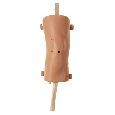 Knee joint arthroscopy simulator - CLA 10 - Coburger Lehrmittelanstalt - for general care / knee