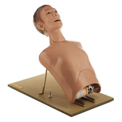 General care training manikin - Broncho Boy - Coburger Lehrmittelanstalt - intubation / bronchoscopy / torso