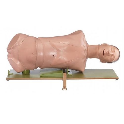 General care training manikin - CLA 4/5 - Coburger Lehrmittelanstalt - intubation / female / upper body