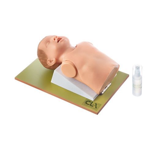 General care training manikin - CLA 8/23 - Coburger Lehrmittelanstalt - intubation / bronchoscopy / head