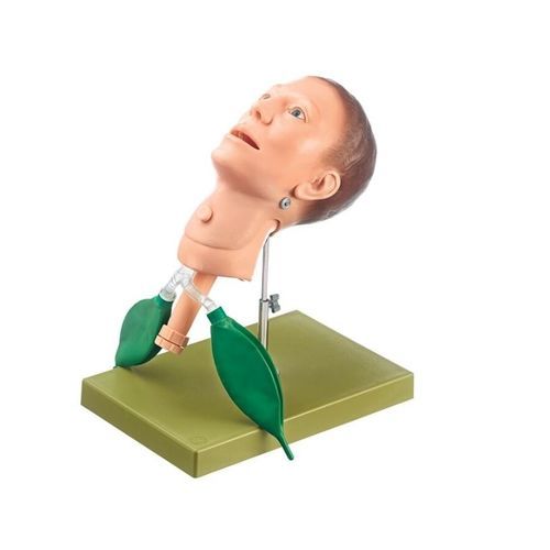 General care training manikin - CLA 1/100 - Coburger Lehrmittelanstalt - tracheotomy / adult / head