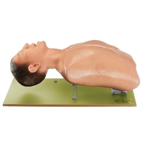 General care training manikin - CLA 8/9 - Coburger Lehrmittelanstalt - intubation / for intubation / bronchoscopy