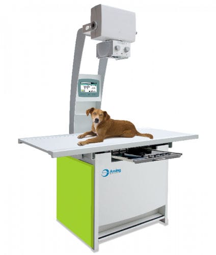 Analog veterinary X-ray system - CDR  - Assing