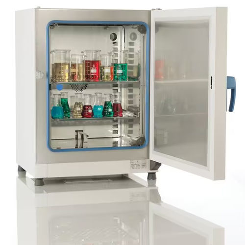 Forced convection laboratory incubator - Heratherm™  - Thermo Scientific - microbiological / benchtop / stainless steel