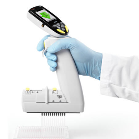 Electronic pipette - E1-ClipTip™ - Thermo Scientific - multichannel