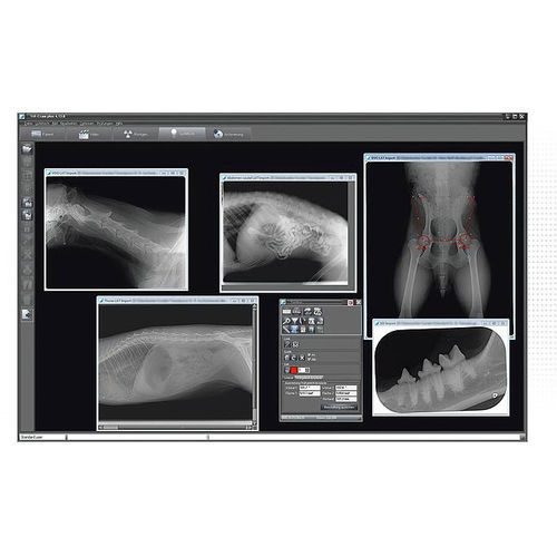 Image enhancement software - VET-EXAM plus - DÜRR MEDICAL - acquisition / measurement / medical