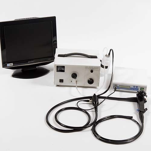 Video veterinary gastroscope - VetscopeTM - VetVu