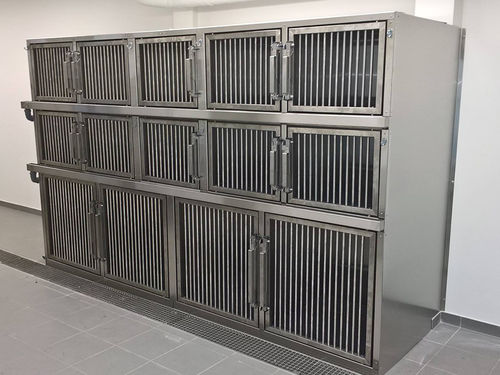 Modular veterinary cage - Gtebel - on casters / stainless steel