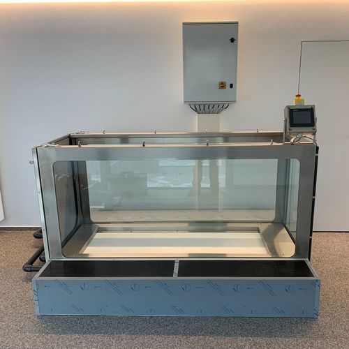 Underwater veterinary treadmill - Gtebel - for dogs