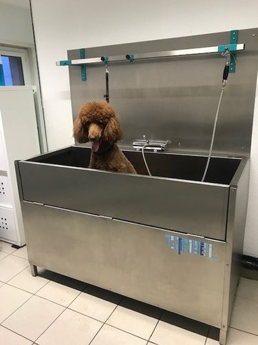 Floor-mounted grooming bathtub - Gtebel