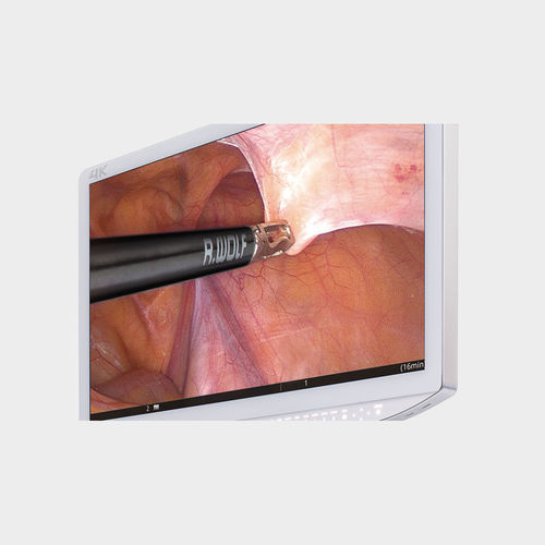 Medical display - MDRAP21ELXACRW3 - Richard Wolf - endoscopy / full HD / 4K