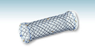 Tracheal stent - HANAROSTENT®(CCC) - M.I Tech