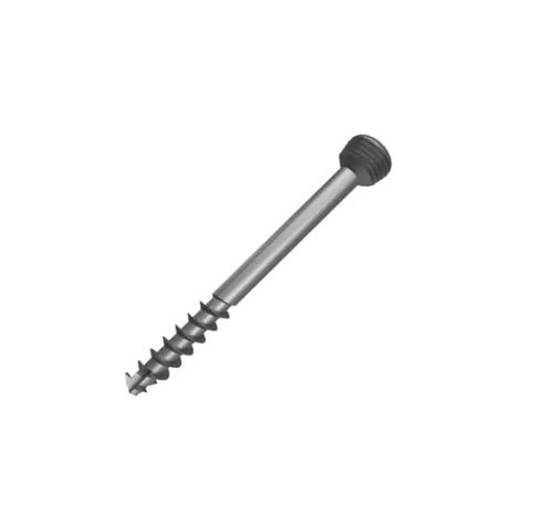 Large bone fragment compression bone screw - A33801035 - Aysam Orthopaedics - metallic / locking / cancellous